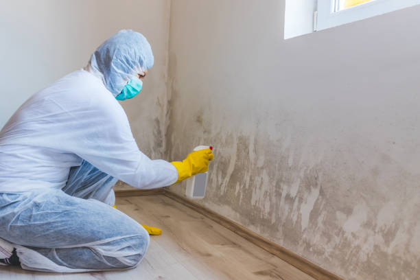 Licensed Crawl Space Mold Removal service in Newport, PA - WQB Mold Removal