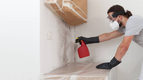 Professional Crawl Space Mold Removal technician working in Newport, PA