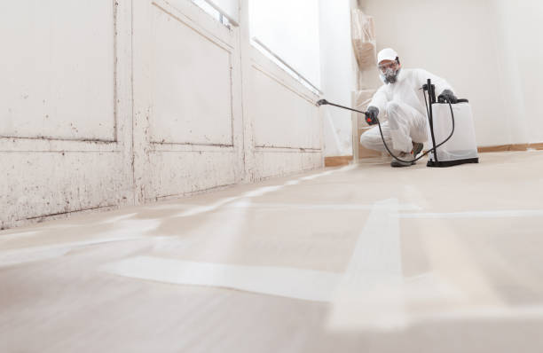 24/7 Emergency Crawl Space Mold Removal experts in Newport, PA